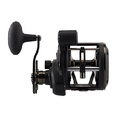 PENN Squall II Level Wind Conventional Fishing Reel， Black Gold