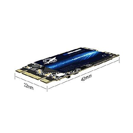 大人も着やすいシンプルファッション Dogfish M.2 2242 SSD 500GB 3D NAND TLC SATA III 6GB 内蔵ソリッドステートドライブ デスクトップPCノートパソコンに対応 (M.2 2242 500GB)