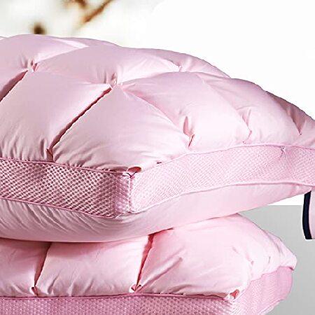 WHFKFBS 2Pcs White Goose Down Pillow 100% Cotton Soft and Comfortable Sleeping Cervical Pillow Breathable and Dehumidifying Quiet Light Tone Delicate