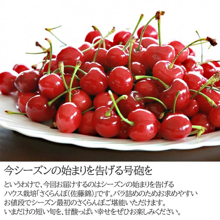 シーズン終了 日本の初夏の味ハウスさくらんぼ佐藤錦 バラ詰めパック 0507 Rkitm010 Selectfruits六果 通販 Yahoo ショッピング