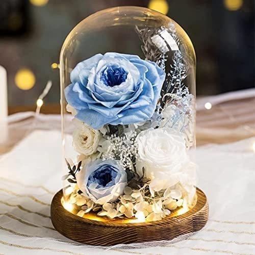 公式通販安い プリザーブドフラワー バラ ガラスドーム 薔薇 ドライフラワー 枯れない花 フラワーギフト プレゼント ギフト 限定製作 Uniaoeucaliptotratado Com
