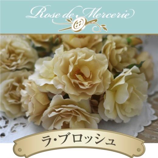 送料無料 ラ ブロッシュ 6号鉢 春開花株 鉢植え バラ 薔薇 河本バラ園