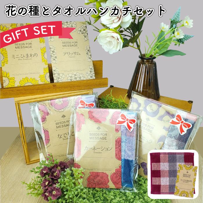 花の種とタオルハンカチセット 母の日 ホワイトデー 景品 粗品 ギフト