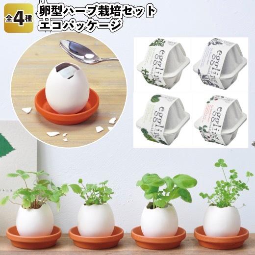 1個あたり350円送料無料　卵型ハーブ栽培セット　エコパッケージ96個セット　　景品 粗品 プチギフト