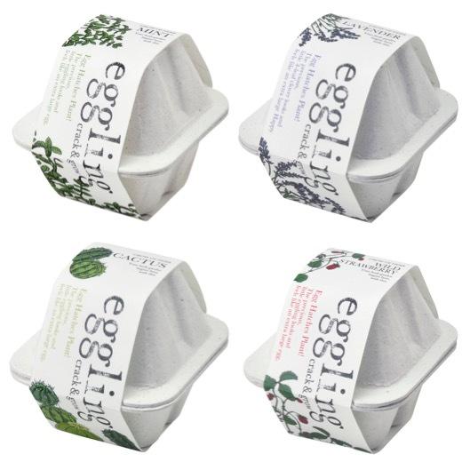 1個あたり350円送料無料　卵型ハーブ栽培セット　エコパッケージ96個セット　　景品 粗品 プチギフト 北海道 沖縄 離島