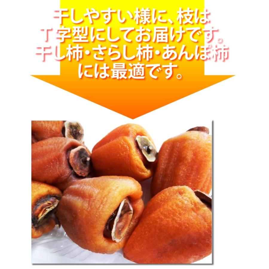 あたご柿 約10kg 愛媛県 枝付渋柿 愛宕柿 干し柿 つるし柿 沖縄