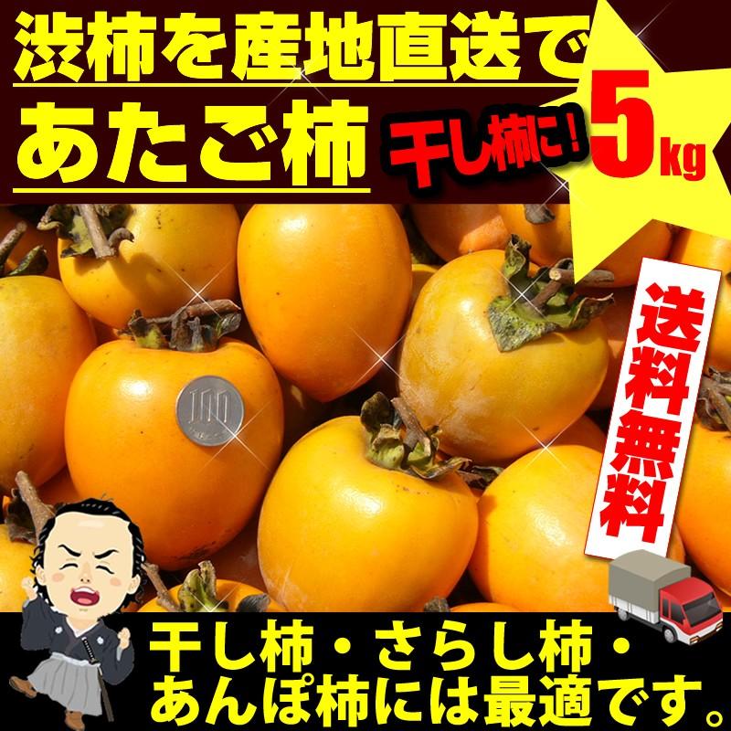 あたご柿 約5kg 愛媛県 枝付渋柿 愛宕柿 干し柿 つるし柿 11月上