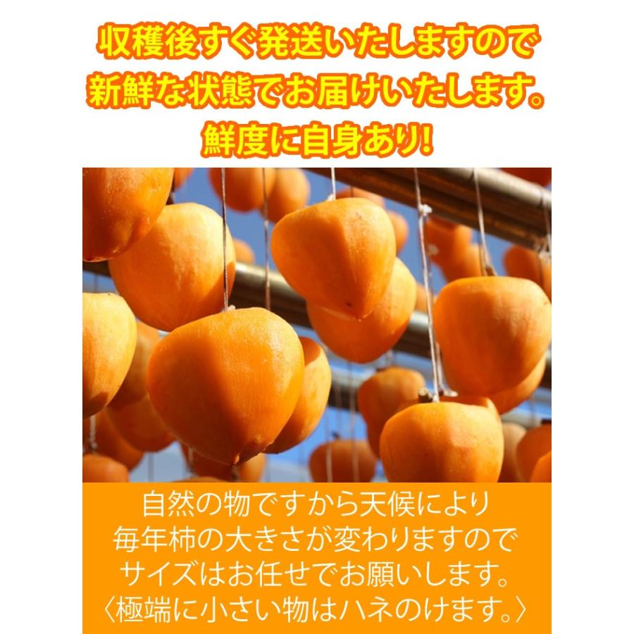 あたご柿 約5kg 愛媛県 枝付渋柿 愛宕柿 干し柿 つるし柿 11月上