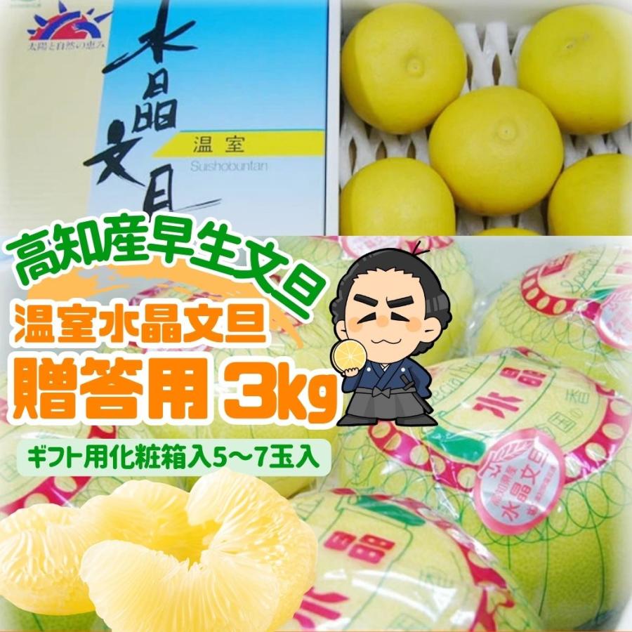 温室 水晶文旦 3kg 5〜7玉入 ご贈答用 高級ブンタン高知産 沖縄県