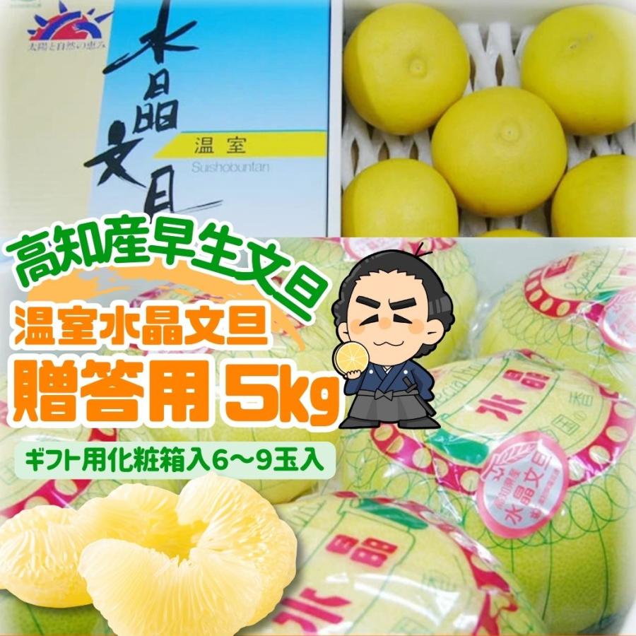 温室 水晶文旦 5kg 6〜9玉入 ご贈答用 ブンタン高知産早生ぶんたん