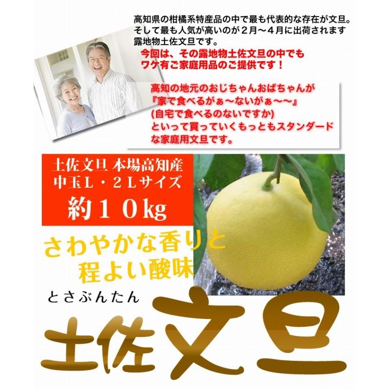 土佐文旦 本場高知産 中玉L・2L サイズ約10kg ワケ有ご家庭 土佐文旦 本場高知産 中玉L・2L サイズ約10kg ワケ有ご家庭