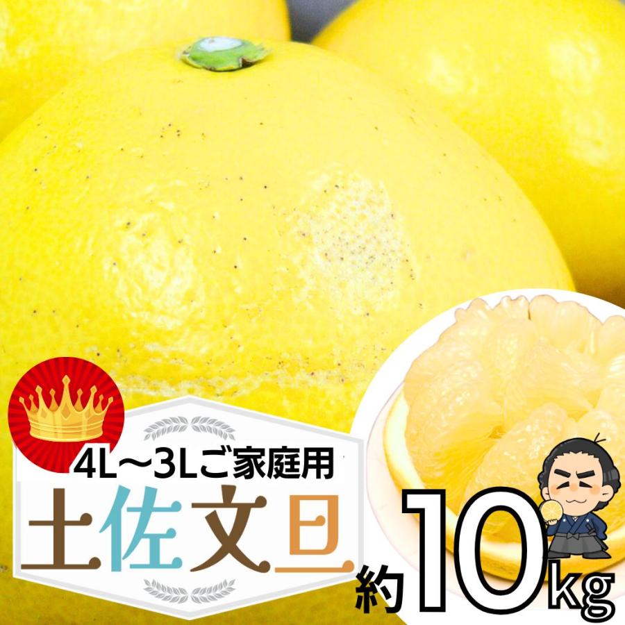 文旦 (訳あり土佐文旦) 4L〜3Lサイズ約10kg 高知産 文旦 (訳あり土佐文旦) 4L〜3Lサイズ約10kg 高知産