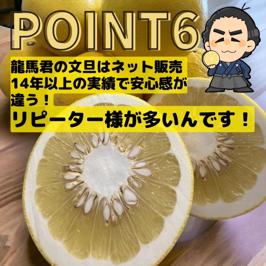 文旦 (訳あり土佐文旦) 4L〜3Lサイズ約10kg 高知産 文旦 (訳あり土佐文旦) 4L〜3Lサイズ約10kg 高知産