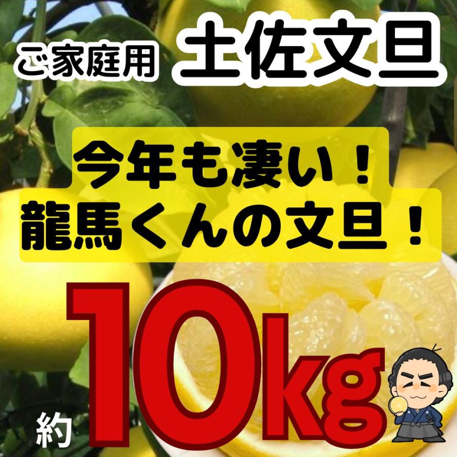 文旦 (訳あり土佐文旦) 4L〜3Lサイズ約10kg 高知産 文旦 (訳あり土佐文旦) 4L〜3Lサイズ約10kg 高知産