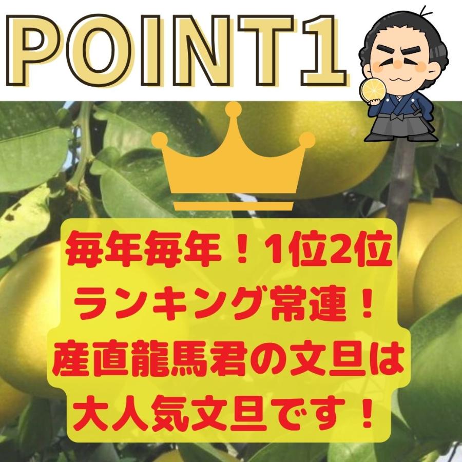 文旦 (訳あり土佐文旦) 4L〜3Lサイズ約10kg 高知産 文旦 (訳あり土佐文旦) 4L〜3Lサイズ約10kg 高知産