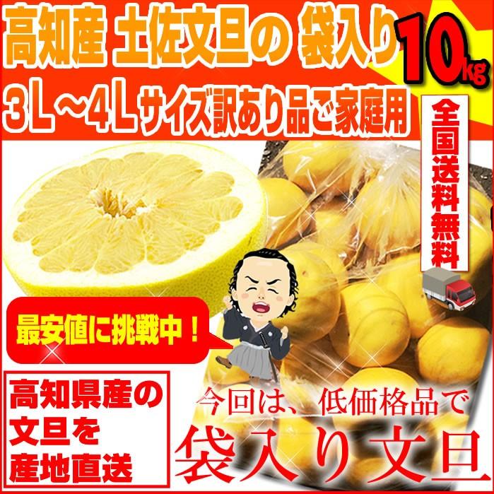高知産 土佐文旦 袋入り 大玉4−3Lサイズ 約10kg 訳あり 高知産 土佐文旦 袋入り 大玉4−3Lサイズ 約10kg 訳あり