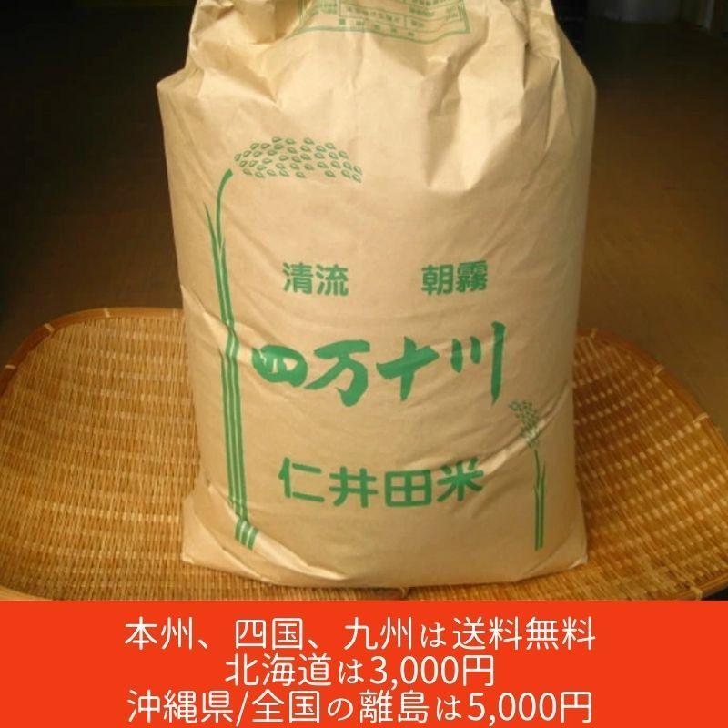 高知県 四万十町産 仁井田米 玄米 約30kg 新米(玄米)本州 高知県 四万十町産 仁井田米 玄米 約30kg 新米(玄米)本州
