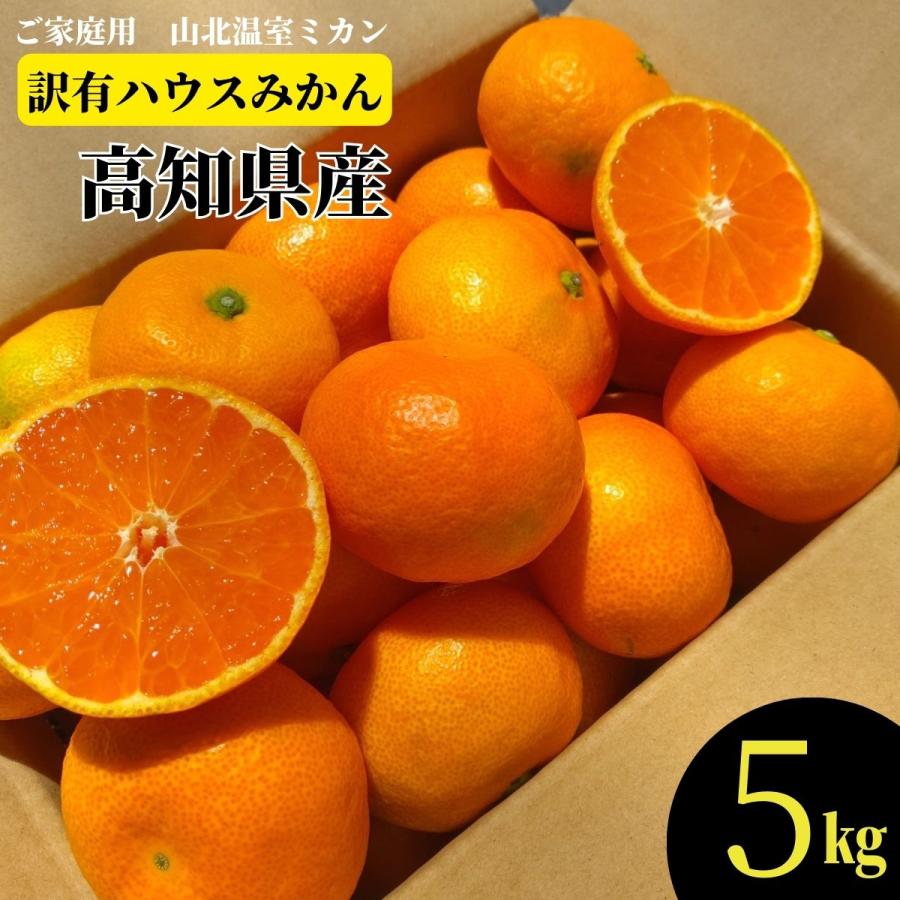 訳ありハウスみかん ５kg 高知産 Mikanwake5 産直龍馬くん 通販 Yahoo ショッピング