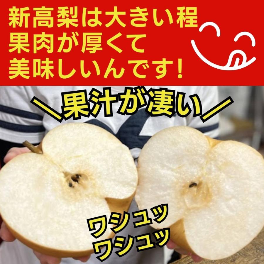 梨　新高梨　10玉を2箱　06 梨 新高梨 10玉を2箱 06