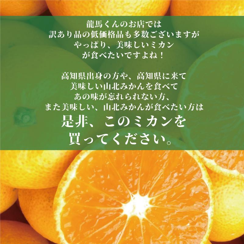 美味しいよ٩( 'ω' )و山北みかん 06 【公式通販】