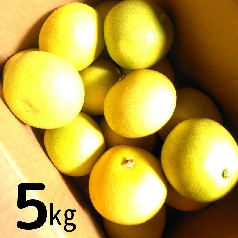 水晶文旦 送料無料 約5kgご家庭用 温室 水晶 文旦 訳あり サイズや