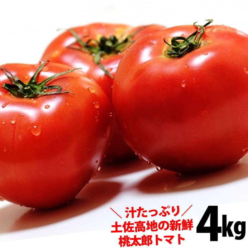 トマト 約４kg 桃太郎 高知産 とまと 2021年新作