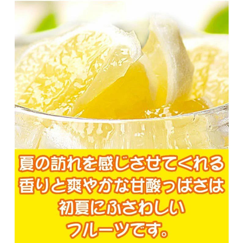 楽天市場】小夏☆【送料無料】ご家庭用高知産 土佐小夏 約5キロ