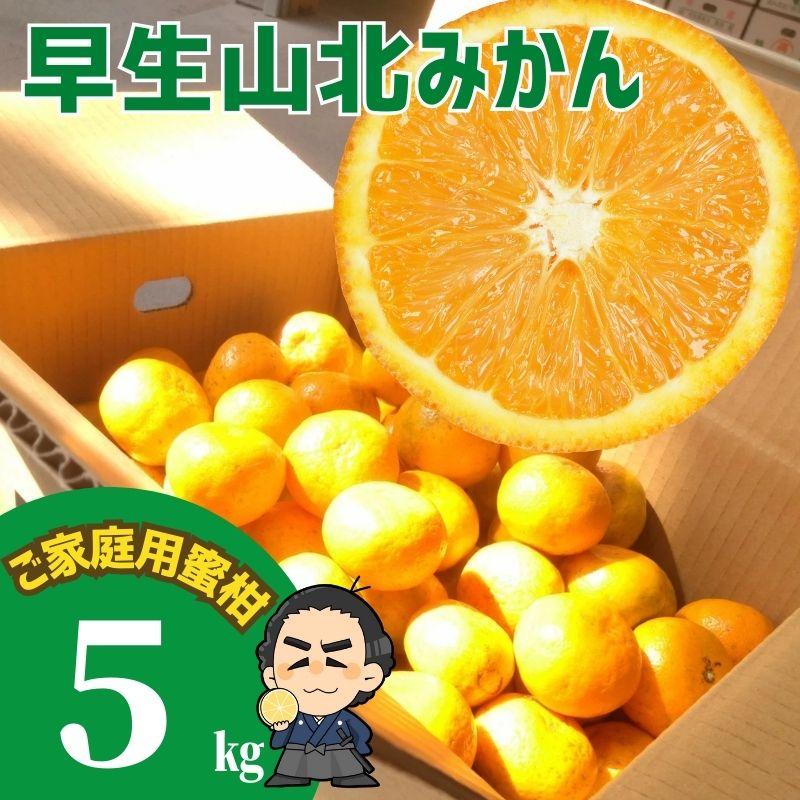 ☆山北みかん 早生みかん5kg 高知県産 ご家庭用蜜柑 : 産直龍馬くん