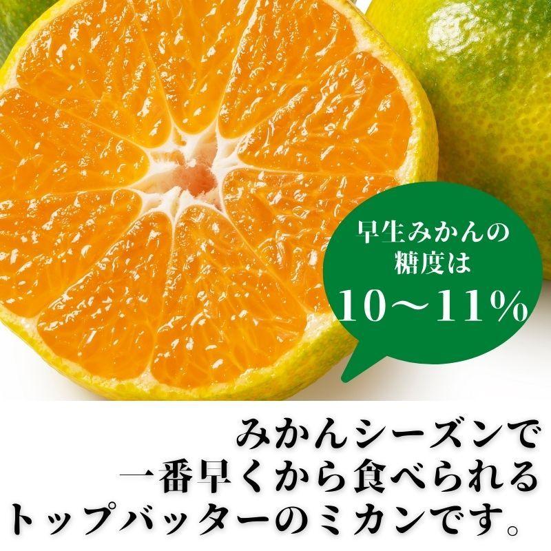 ☆山北みかん 早生みかん5kg 高知県産 ご家庭用蜜柑 : 産直龍馬くん