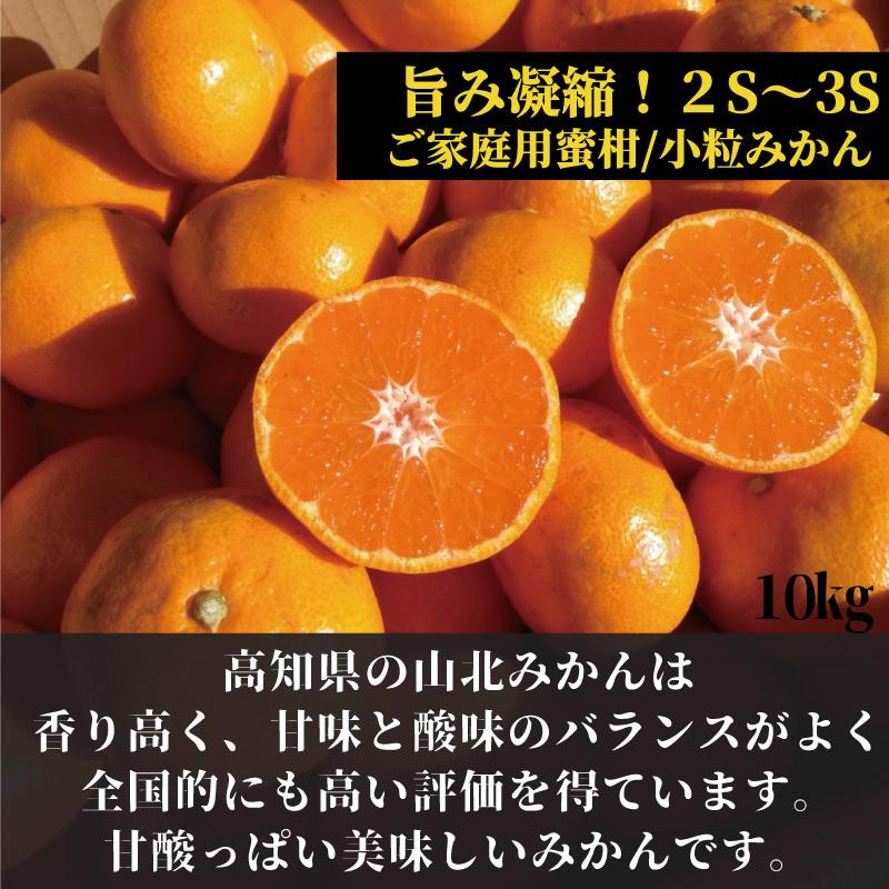 山北みかん2Sサイズ 10kg ご家庭用 小粒みかん 高知産 : 産直龍馬くん