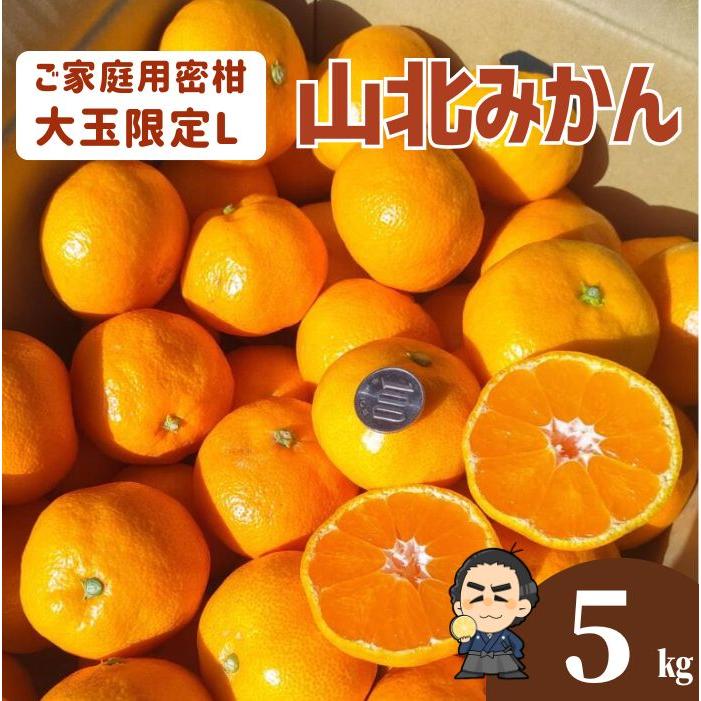 【送料無料】高知産 山北みかん Lサイズ限定5kg 沖縄本土と北海道は