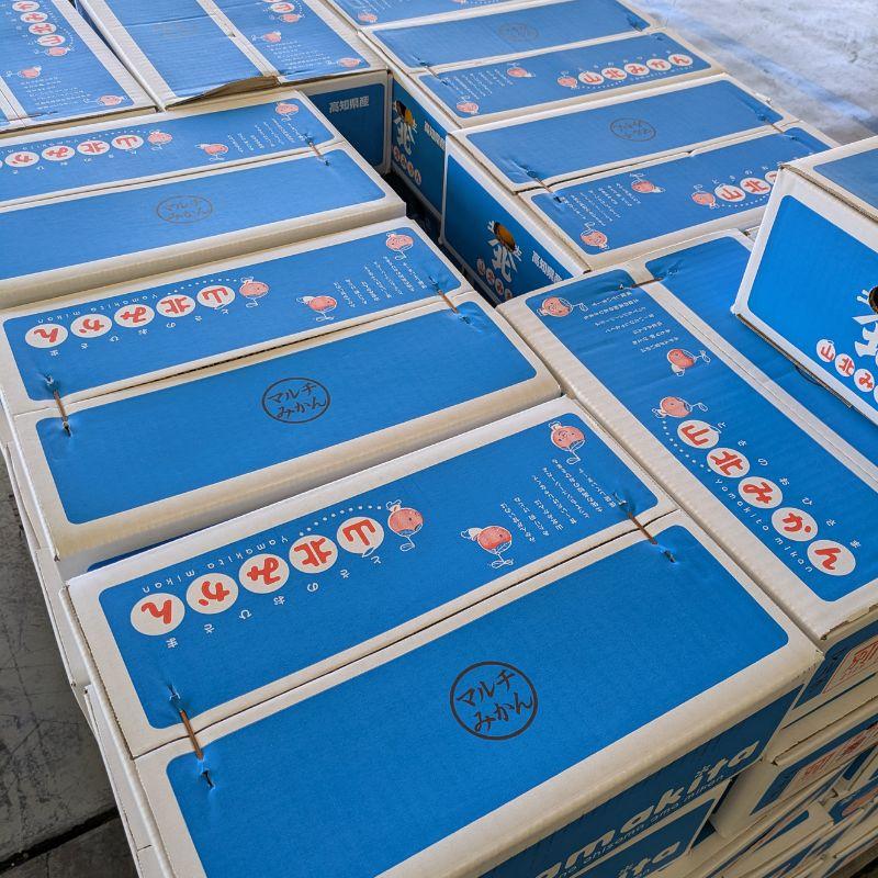 【送料無料】高知産 山北みかん Lサイズ限定5kg 沖縄本土と北海道は