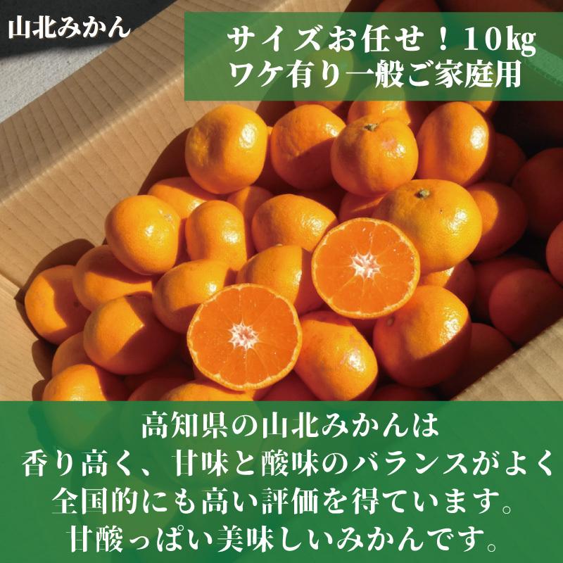 格安店 山北みかん １０kg 高知のミカン ご家庭用蜜柑 みかん、柑橘類