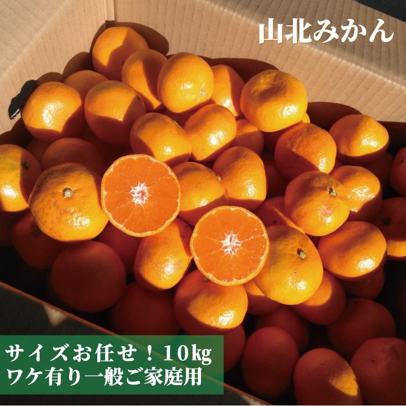 山北みかん 10kg 高知のミカン ご家庭用蜜柑 