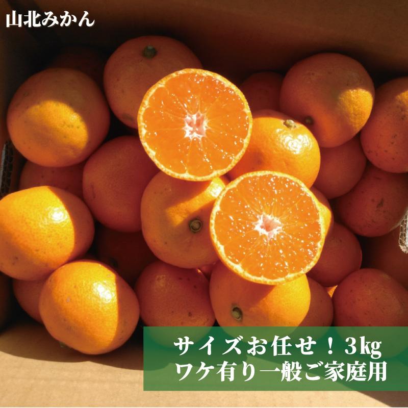 ☆高知産 山北みかん3kg現在人気の小粒S〜2Sが入っています！ ワケ