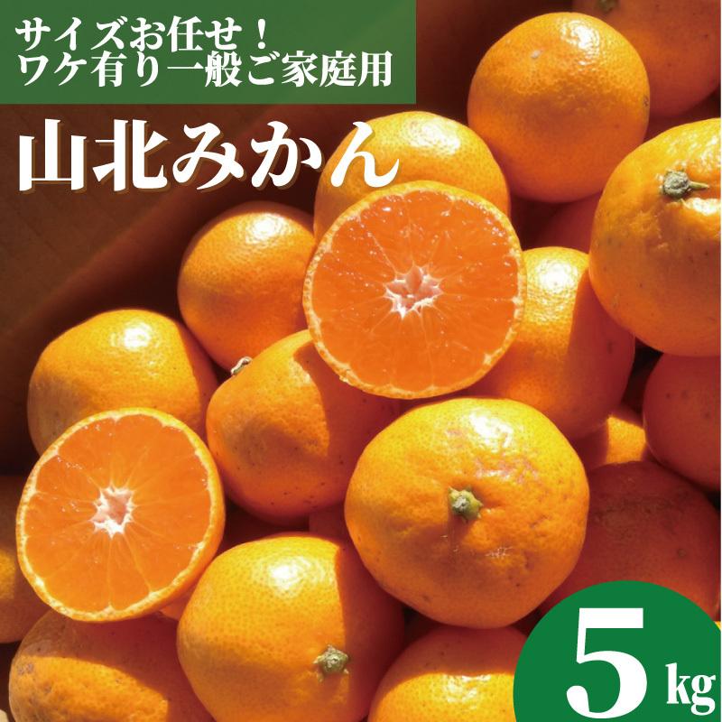 人気特価をすべて 山北みかん - |県産品の通販も 【公式】JA 人気特価をすべて 山北みかん - |県産品の通販も 【公式】JA