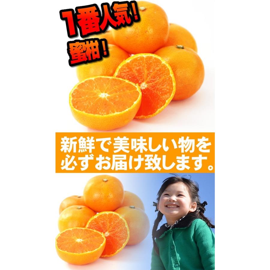 ☆山北みかんMSサイズ限定 10kg みかん蜜柑 中級品 高知産 : 産直龍馬