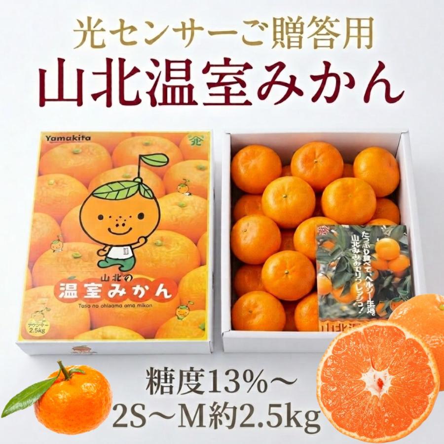 ハウスみかん2.5kg 高知産 山北 温室みかん : 産直龍馬くん - 通販