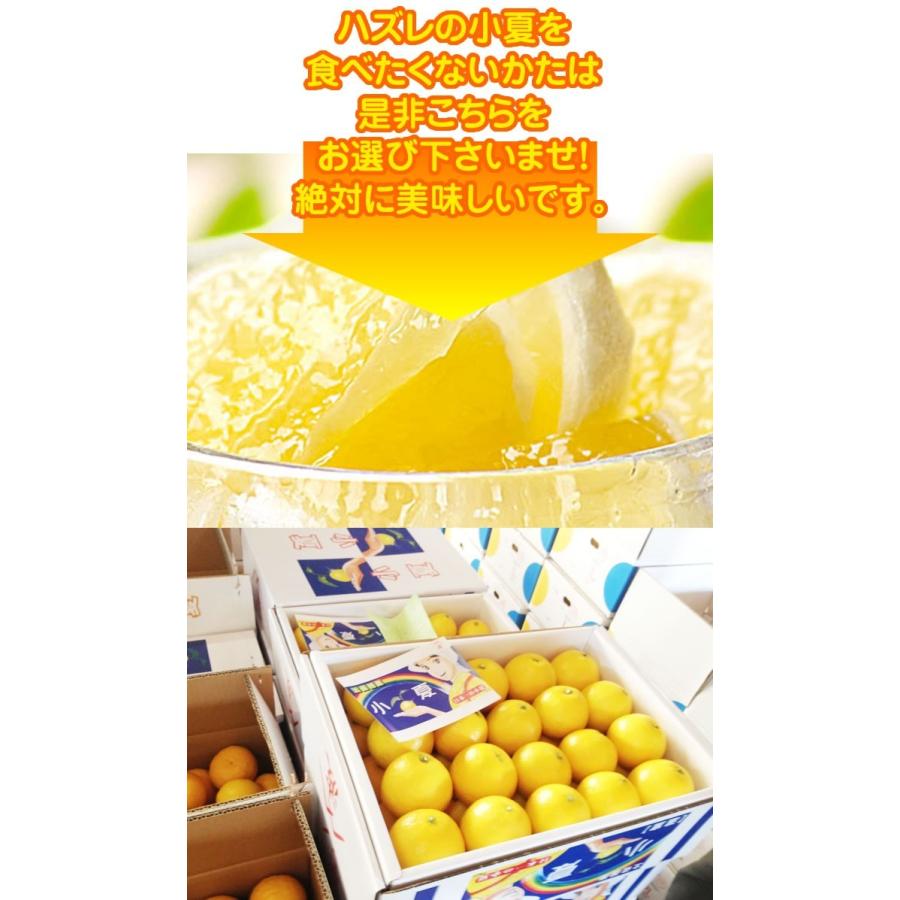 si　高知産　約５KgX2　温室小夏　２L　美品　小夏　北海道沖縄発送不可 小夏 高知産 山波小夏研究会 温室小夏約5kg 贈答用特選品：ハウス小夏