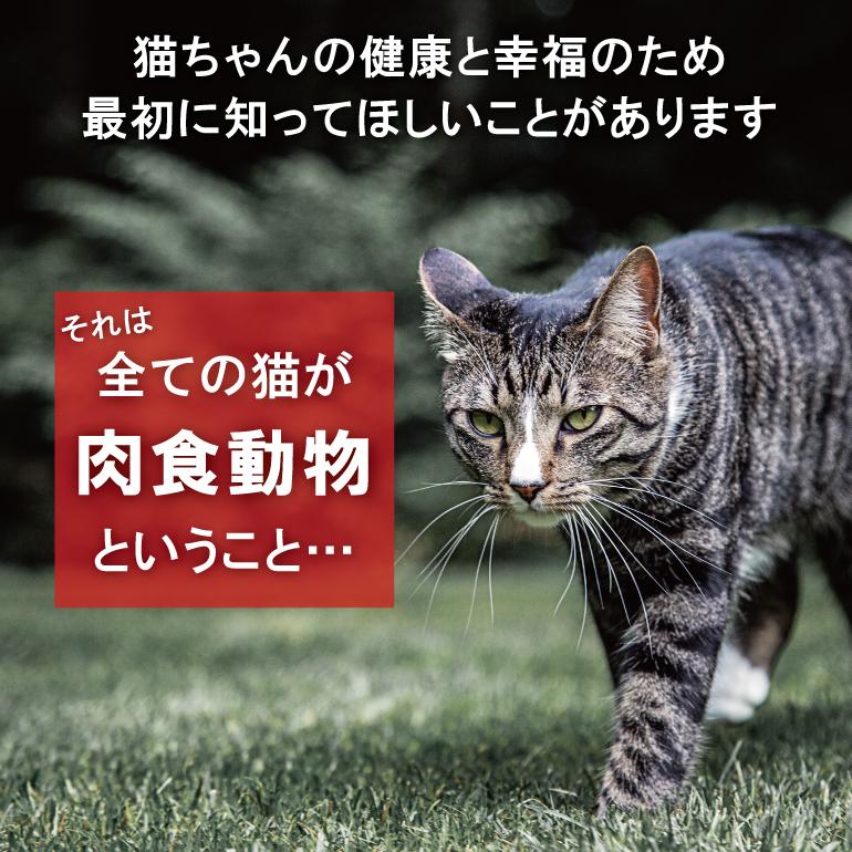 ACANA アカナ ホームステッドハーベスト 4.5kg【キャットフード
