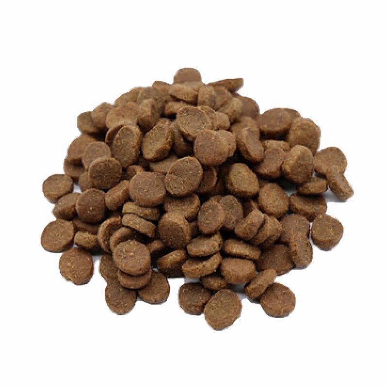 VetSolution 犬用 胃腸サポート 3kg【ベッツソリューション】【犬用