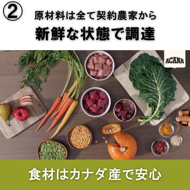 ACANA（アカナ） インドアエントリーキャット 4.5kg【キャットフード