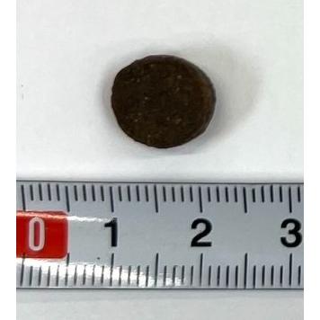 アウトレット ☆パッケージシール不良 賞味期限2026年3月27月】CHARM