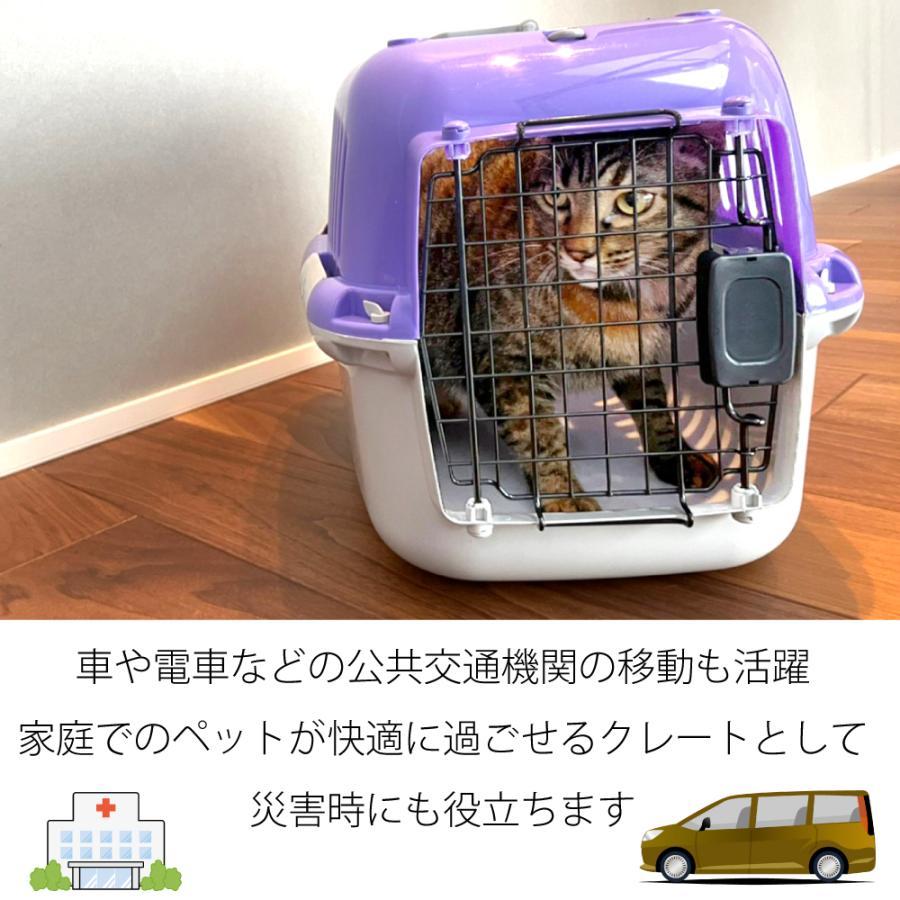 ファンタジーキャリー S パープル 小型犬、猫 ペット用 キャリー