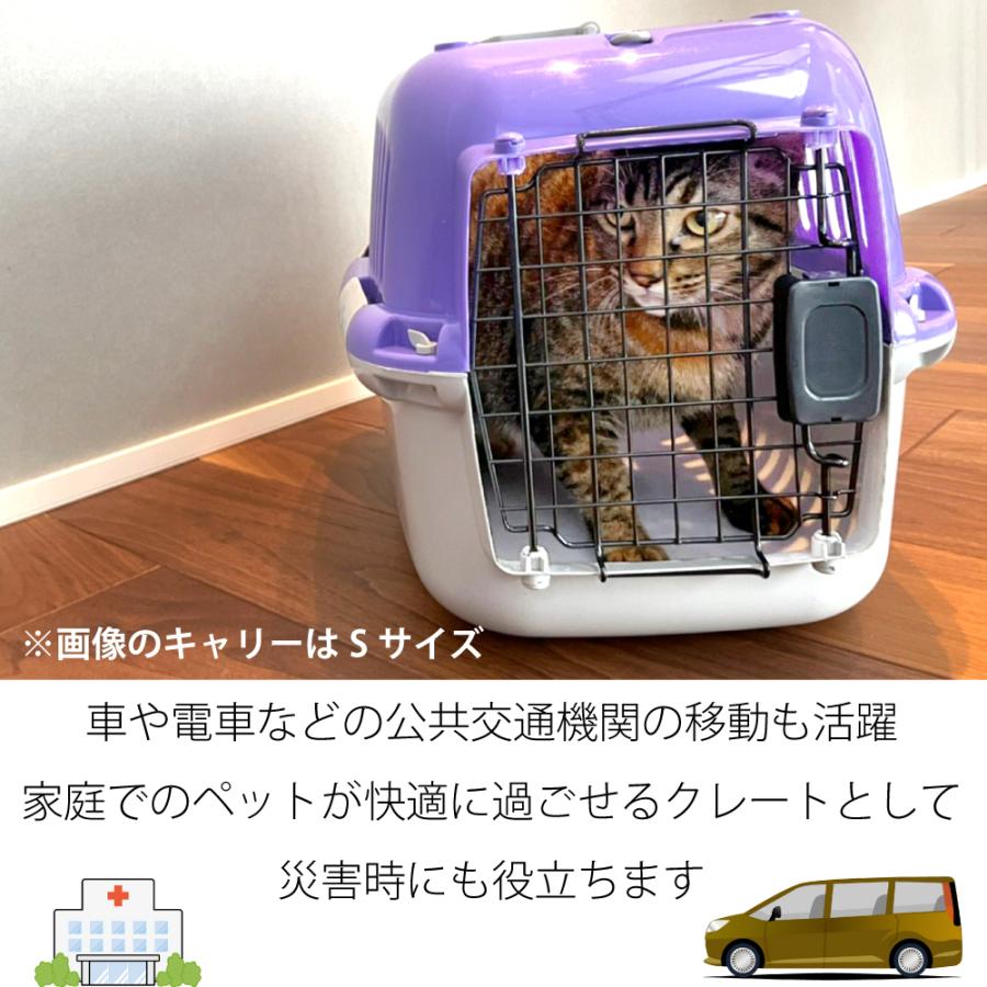 ファンタジーキャリー M パープル 犬、猫 ペット用 キャリーケース ハードタイプ 耐荷重10kgまで｜sakurasow-2｜03