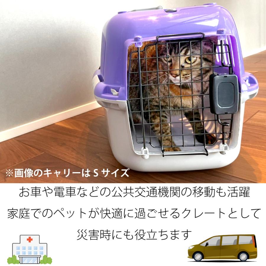 ファンタジーキャリー M OPEN パープル 犬、猫 ペット用 キャリーケース ハードタイプ 耐荷重10kgまで｜sakurasow-2｜03