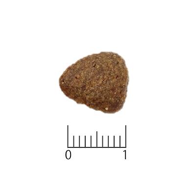 VetSolution 犬用 心臓サポート 800g【ベッツソリューション】【犬用