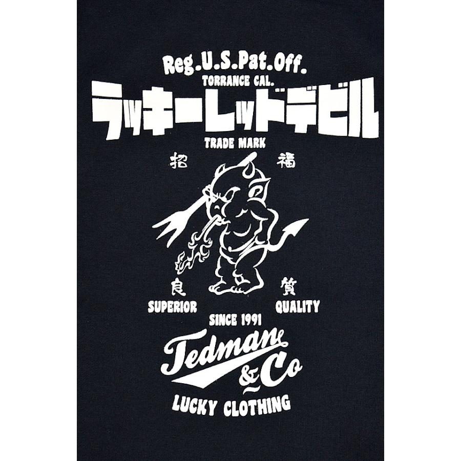 プルオーバースウェットパーカー TEDMAN テッドマン TDPSP-102