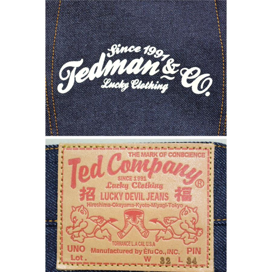 13ozデニムジーンズ「DEVIL-10号」 TEDMAN テッドマン DEVIL-10 エフ
