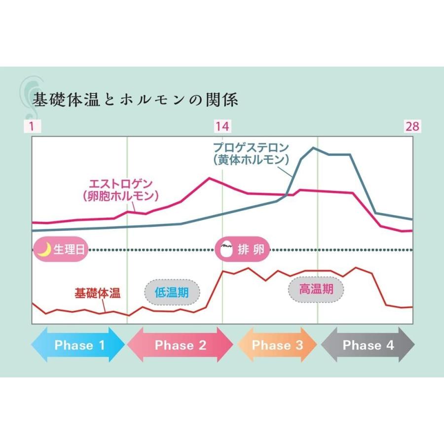 アプリ 検温